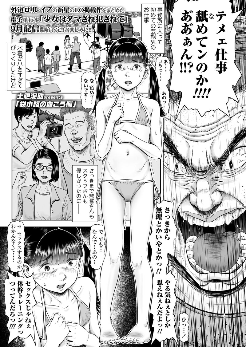 【画像】犯される前の女の子「やだこわい・・・やめてください・・・」←こういう漫画ｗｗ