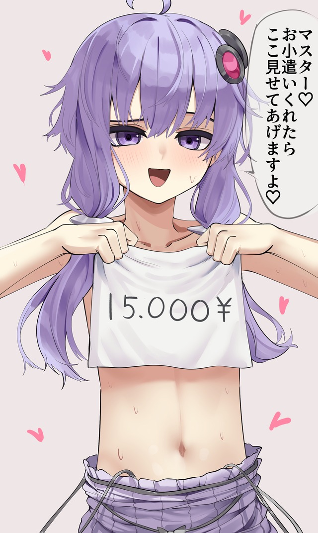 【画像】結月ゆかり「小遣いくれたら爆乳見せてあげますよ～？笑笑❤️」
